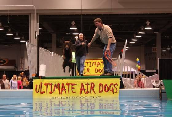 Poll - Everything Pet Expo, Cincinnati, OH Bob