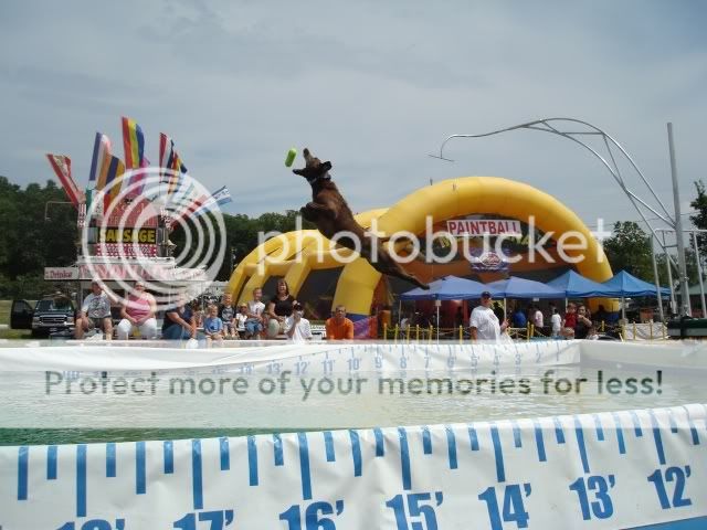 Poll - Wilson County Fair Bullock