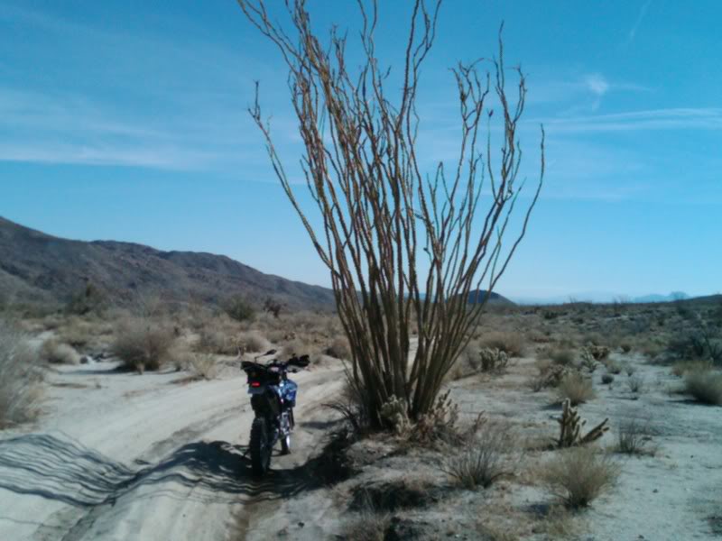 Desert Dash Scouting Run..... FishCreekCatus