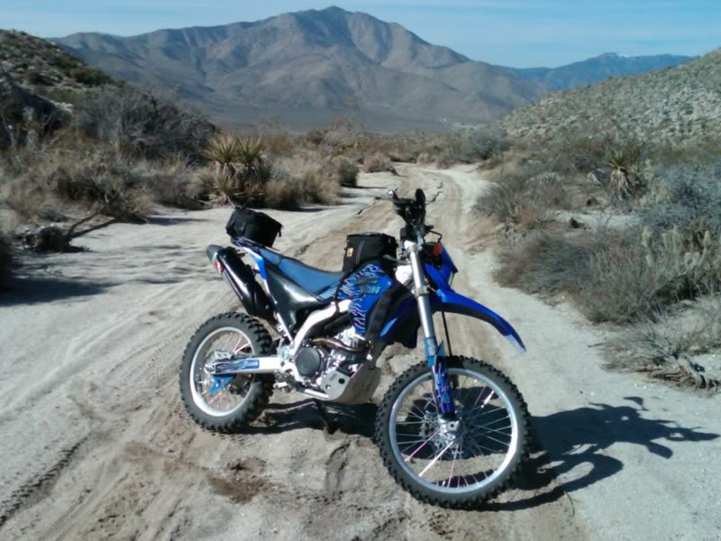 Desert Dash Scouting Run..... Pinion