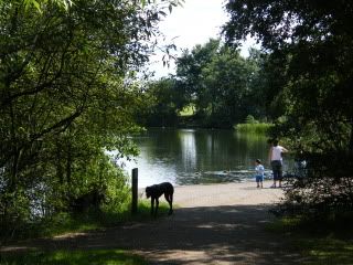 last few heanor last weekxx Swim061