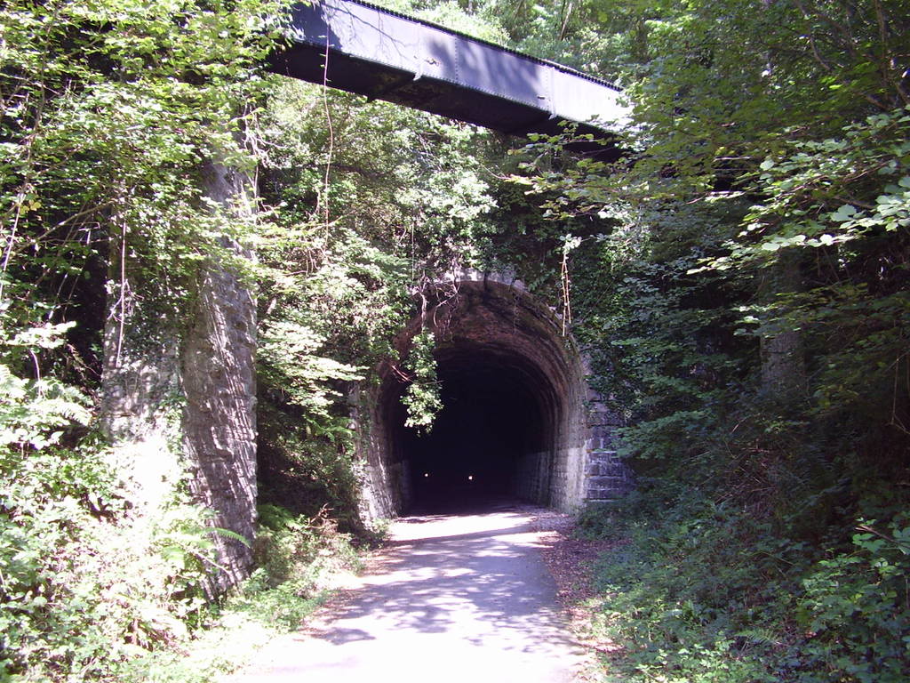 Leighbeer Tunnel ,Shaugh Prior ,Devon P9240010