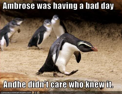 Happy Birthday, Pengy. Funny-pictures-penguin-has-a-bad-day
