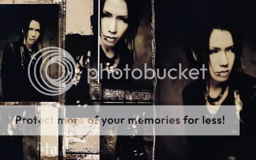 aoi phots S8