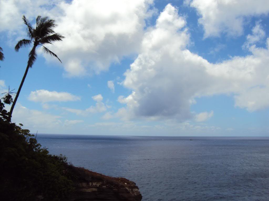 WR250X  In Hawaii DSC01071