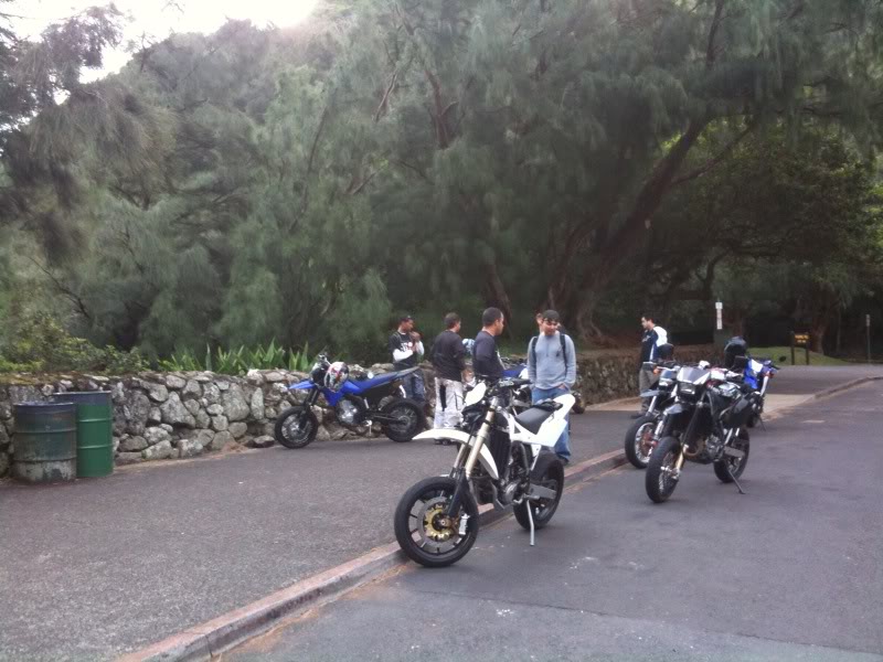 WR250X  In Hawaii Group