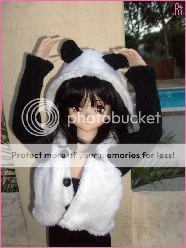 Veste panda !! Panda2