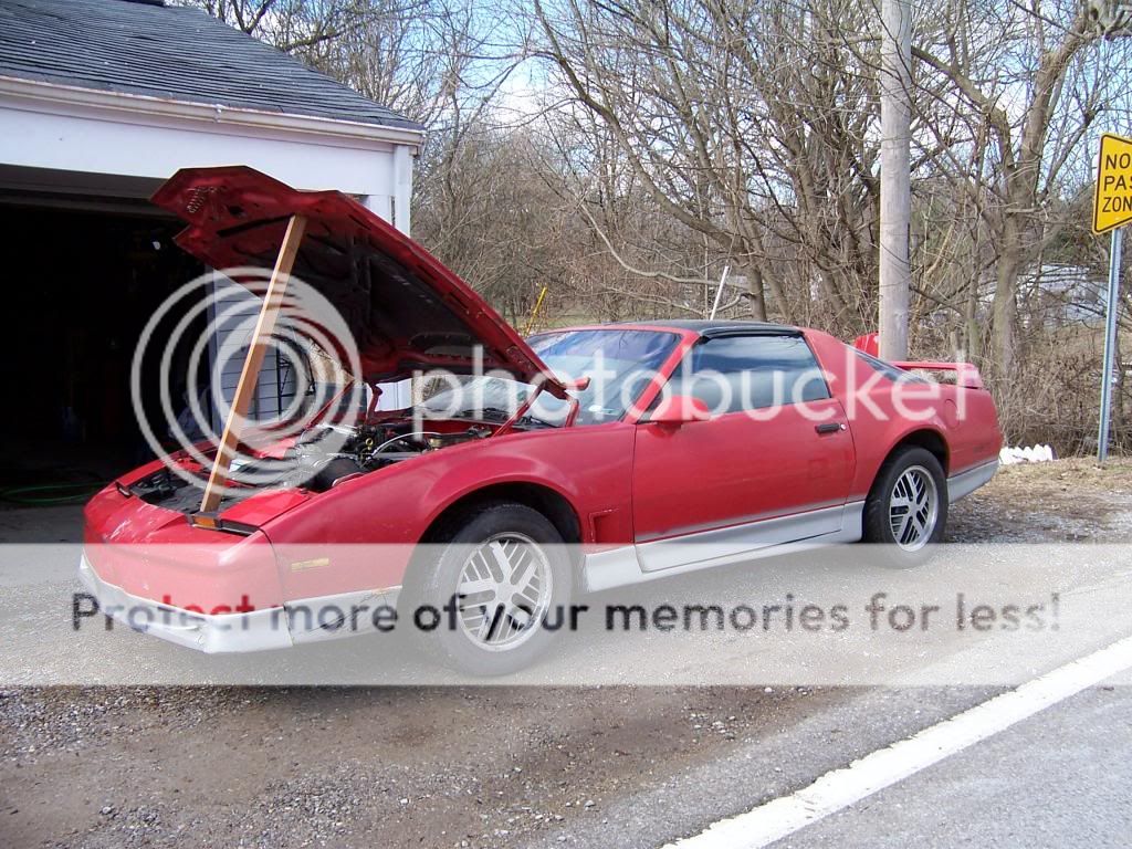 Anyone have any OLD pics of what they drove? - Page 3 Red86TA3_zpsfddfe934