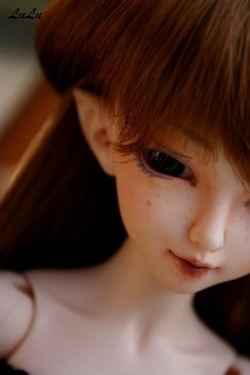 [MNF Juri 2008] Swan dans la neige p.3 BJD134