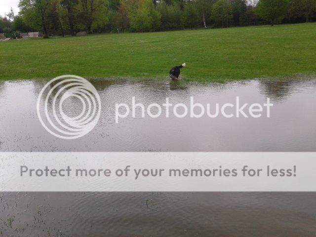 fun in some big puddles at the park :) 2012-05-10102554