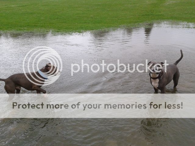 fun in some big puddles at the park :) 2012-05-10102615