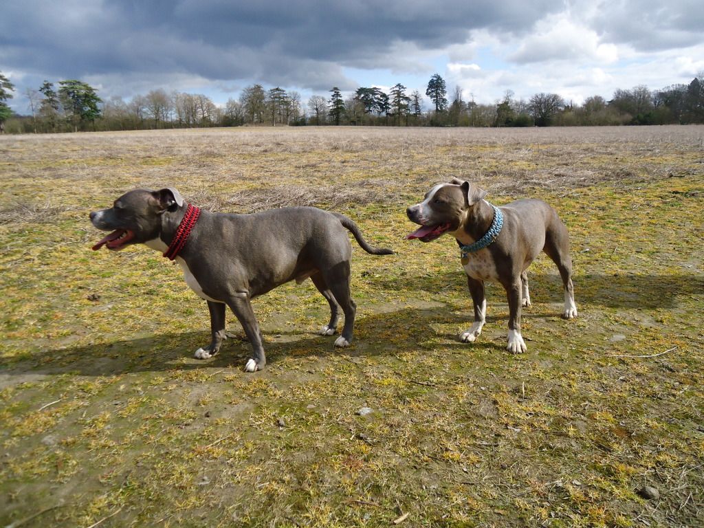 Lovely walk to st leonards today  DSC03016