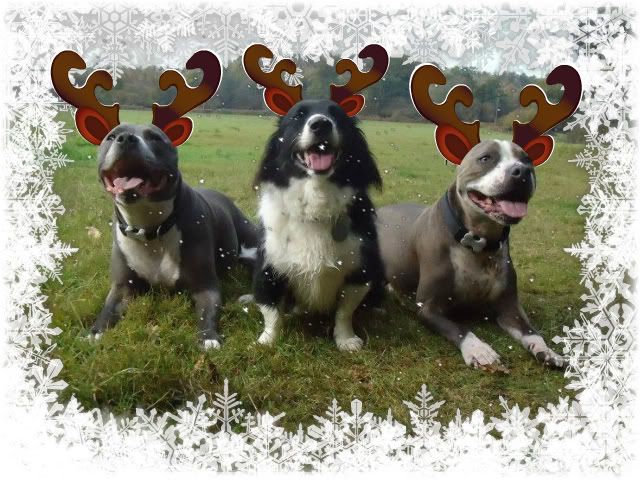 Xmas edits 2 santas and a reindeer  Stantarahooch-1