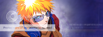 anime overload. :3 FINAL-ichigo