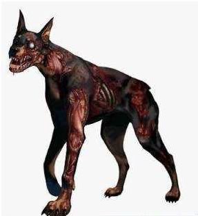 -------------Cerberus------------ Dog