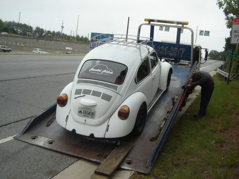 2nd annual  Peace, Love and Bugs April 23rd, VW show and Earthday festival - Page 4 DSC03583