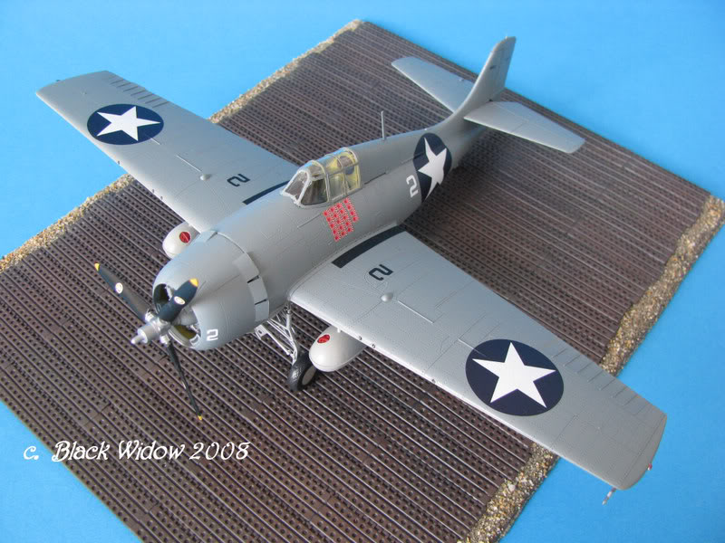 Grumman F4F-4 Wildcat 1/48 IMG_1643