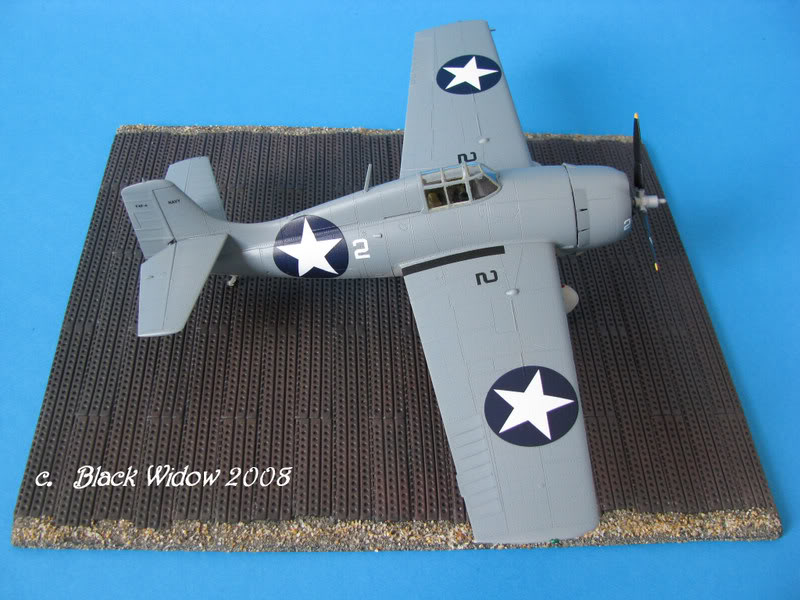 Grumman F4F-4 Wildcat 1/48 IMG_1650