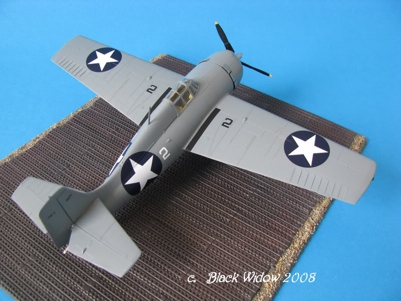 Grumman F4F-4 Wildcat 1/48 IMG_1653