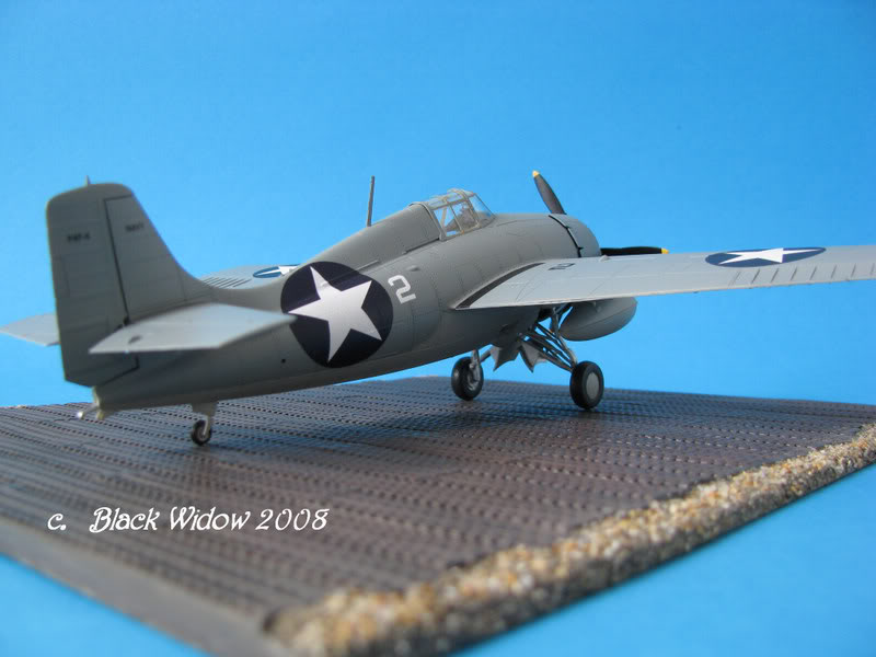 Grumman F4F-4 Wildcat 1/48 IMG_1654