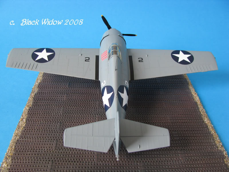 Grumman F4F-4 Wildcat 1/48 IMG_1655