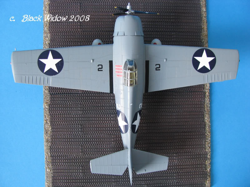 Grumman F4F-4 Wildcat 1/48 IMG_1663