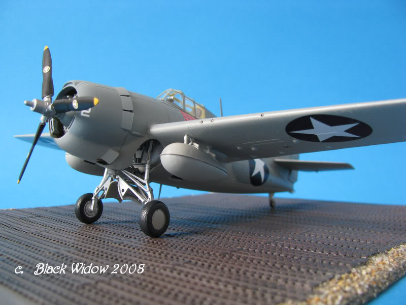 Grumman F4F-4 Wildcat 1/48 IMG_1665