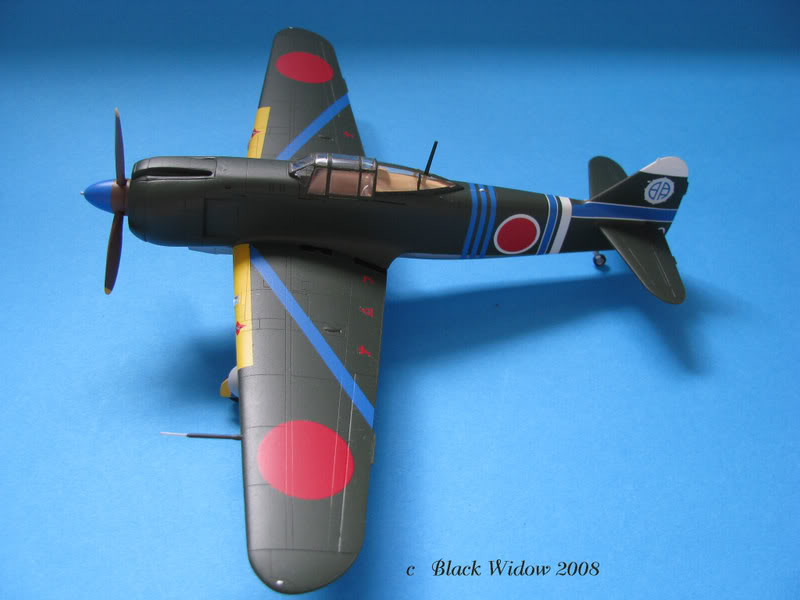 Kawasaki Ki-100 Goshikisen 1/48 IMG_1350