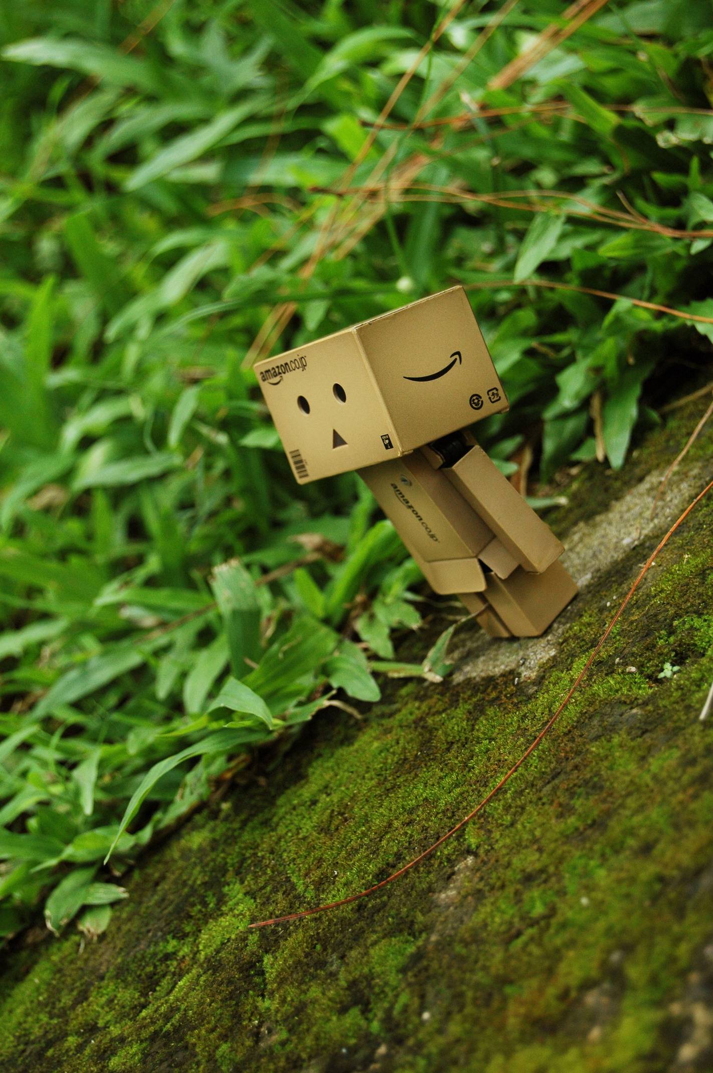 [Fig News] Offline figurevn - Chụp hình ngoại cảnh lần 2 Danbo-2