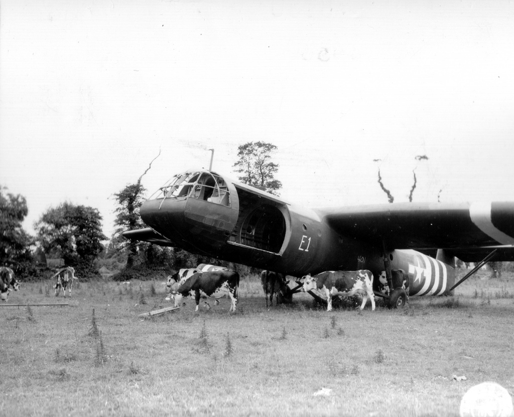 Airspeed AS.51 Horsa (terminé) 6822748965_74b28c7e00_b