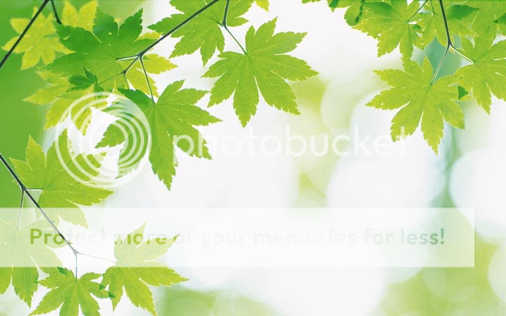 Green :X đẹp lắm nè :X Wallcoo_com_2560x1600_Widescreen_Gr