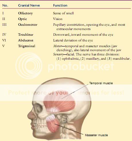 Bates Guide To Physical Exaination Edit_2008-09-19_013