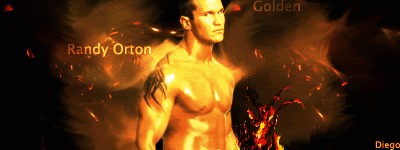 Randy Orton/ golden style//diego GoldenOrton