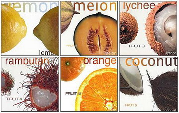 VA - Fruit Collection (2001-2007) B02e19d80831f2e22aa48c56d9a337a8