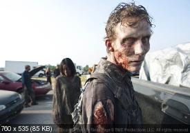 The Walking Dead - Živi mrtvaci  (2010–) - Page 3 95604ebb525696a6a95c89723590984b