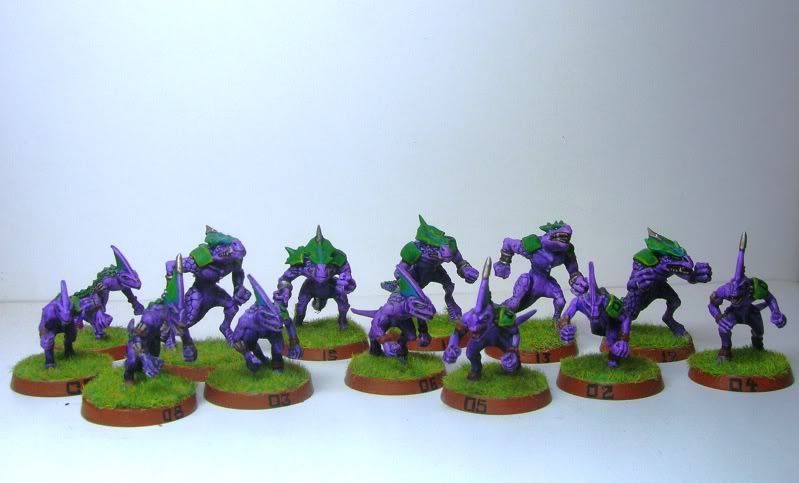 Lizardmen Blood Bowl Team for sale DSCN4771