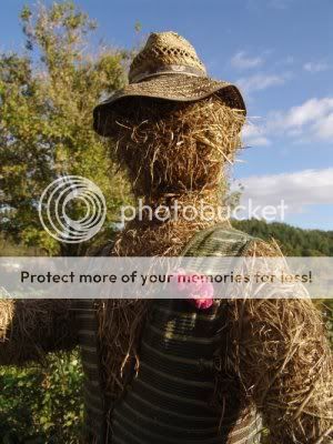 Enseignements père-fille Straw-man3