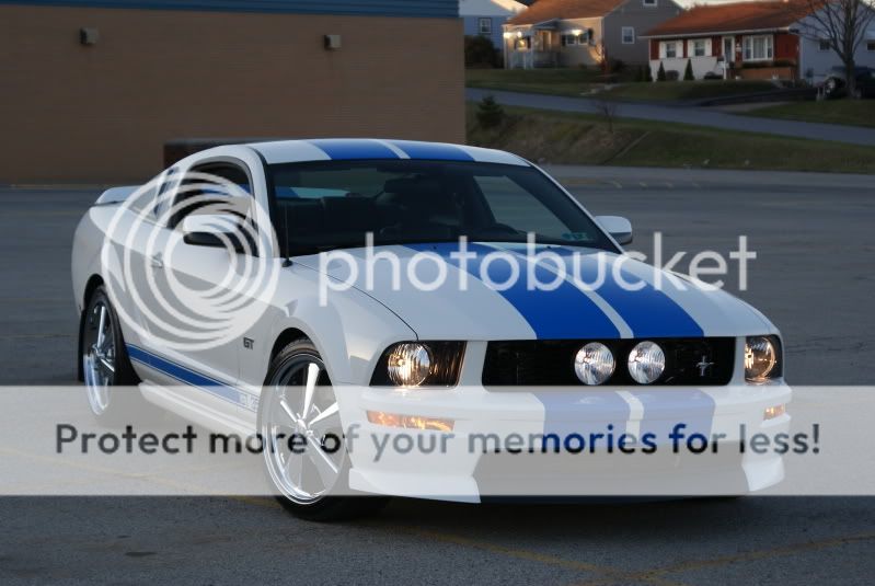 ** Stang of the Month - Vack ** DSC01010