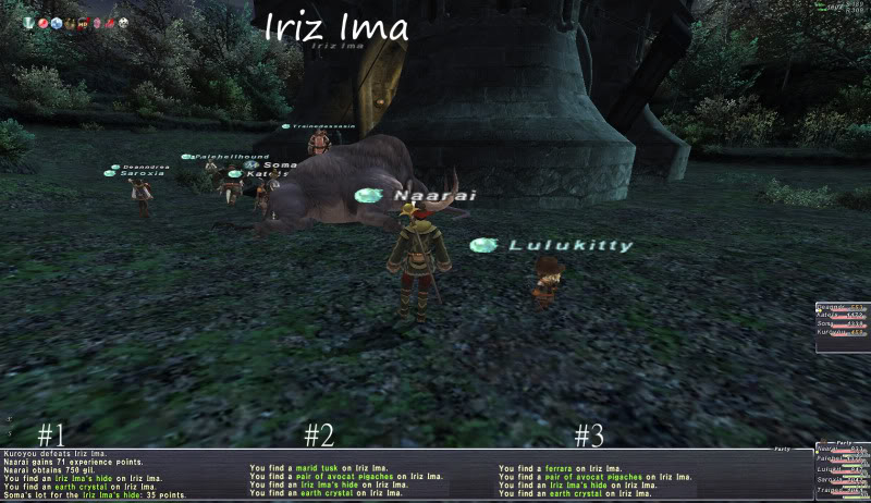 ZNMs T2 8/21/10 Iriz_Ima_ZNM