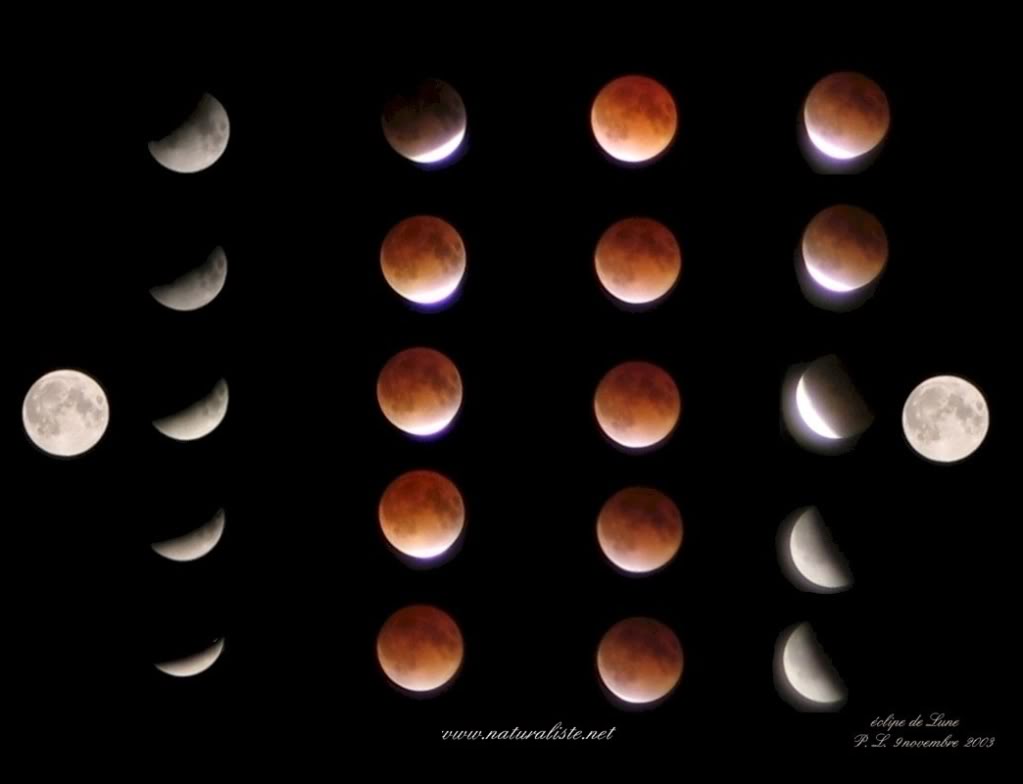 lune - Eclipse Partielle de Lune le 31.12.09, visible en Europe, en Afrique, en Asie, et en Australie Eclipsel1024