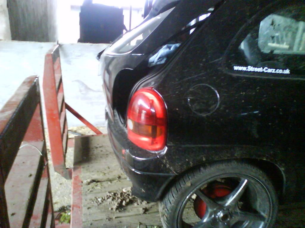 Corsa  death DSC00098