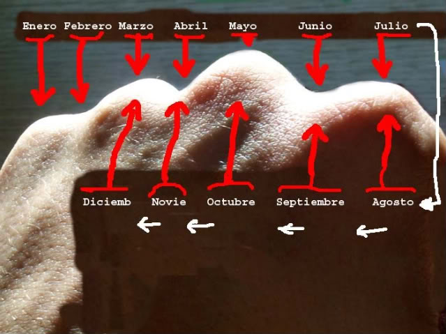 Mtodo sencillo p/saber qu meses tienen 31 das.de los que no. Nudillos00