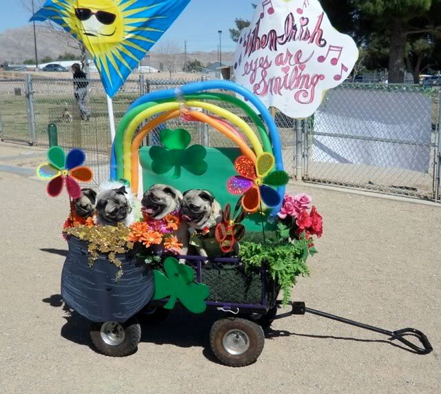 St. Pugtrick's Day pics (do you recognize some of these pugs Bark_10_30