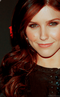 Sophia Bush SophiaBush4