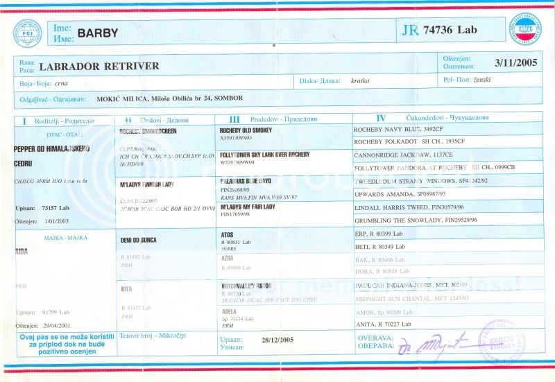labradori iz Grdelice Barby-pedigre1