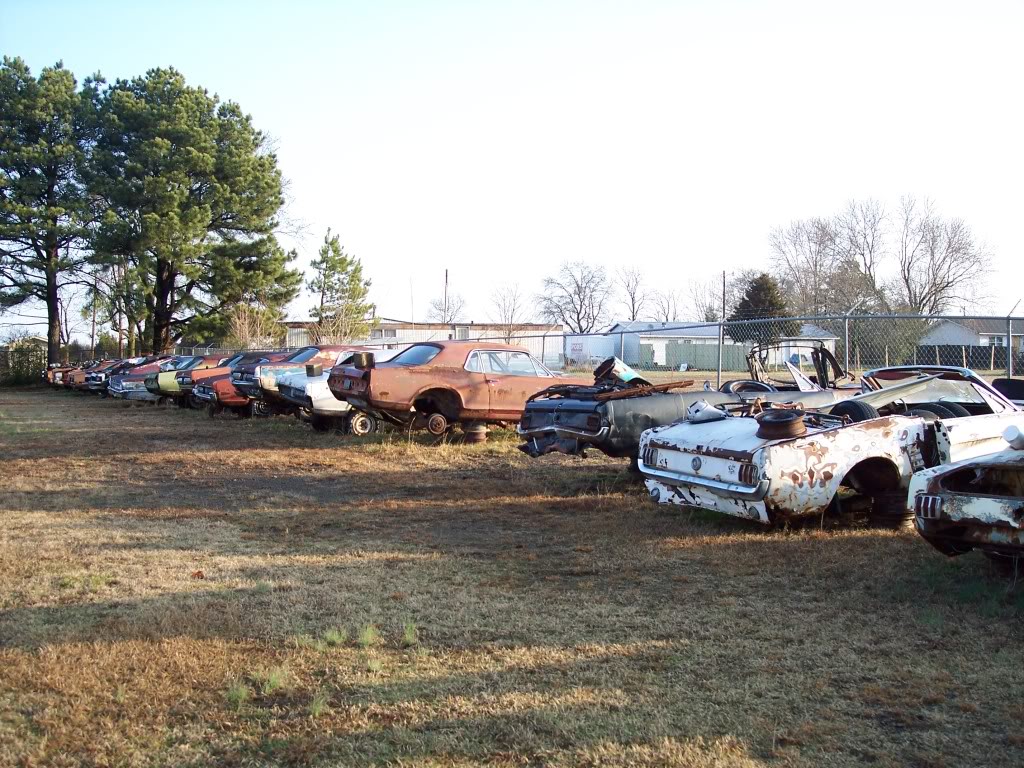 Mustang Grave Yard For Sale James9