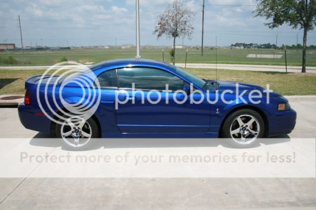 Here is all of my ride's 2003FordMustangCobra011