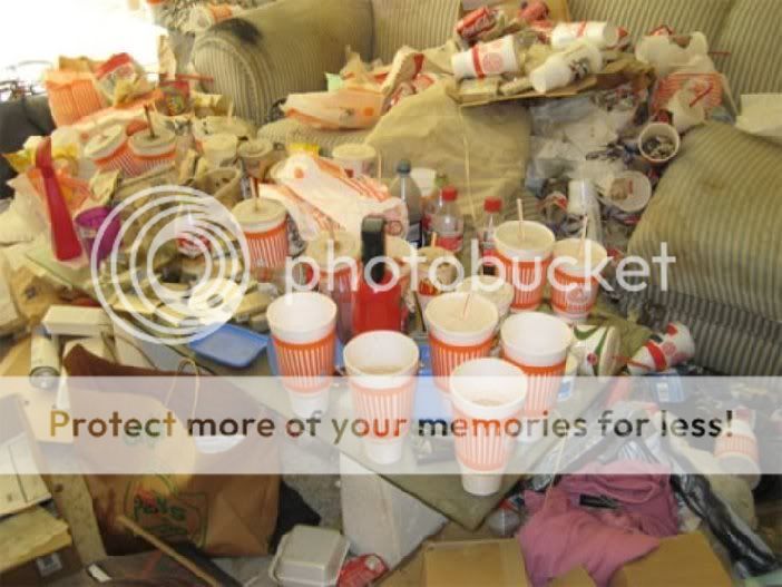 Remember when you last said to a visitor sorry about the mess, I haven’t done my cleaning yet today! Image002