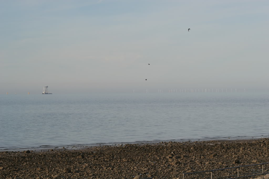 Svanen at work off Rhos on Sea IMG_4378