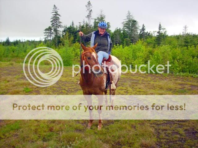 MY NEW SADDLE AND A CORTISONE SHOT PIX ADDED DSCI0045-4